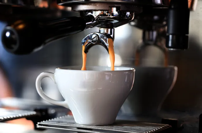 Magyar tulajdon, nemzetközi jelenlét - MoccaNegra